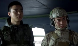 电视剧火凤凰演员表,众星云集，演绎热血军旅传奇